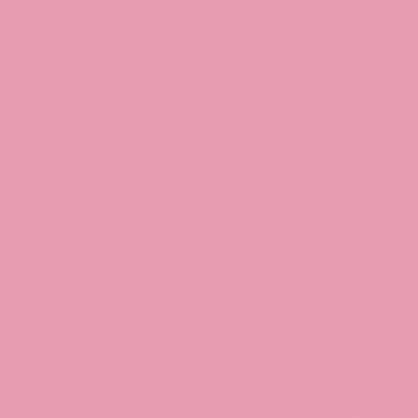 8534 BS Rose Pink